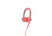 Beats Powerbeats2 Wireless